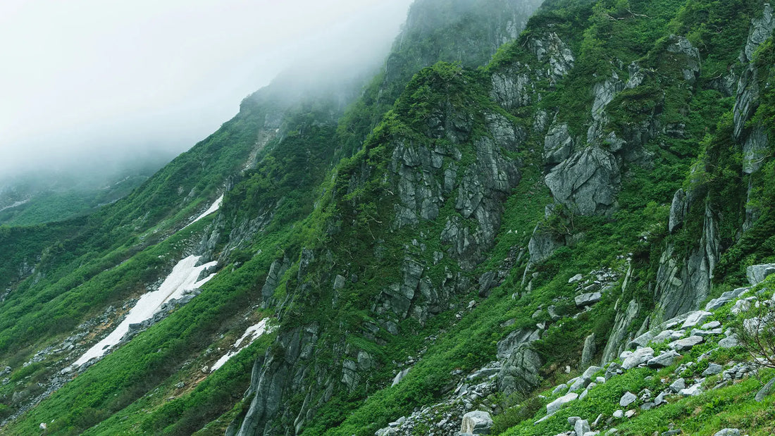 Why Every Hiker Needs a SweatHawg