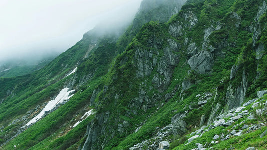 Why Every Hiker Needs a SweatHawg