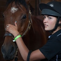 Horses, Helmets and Hawgs!