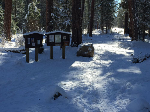 Conquer Winter Rides: Snow Biking Tips & Sweat Control